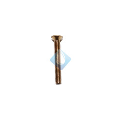 Tornillo para válvulas M6 Oro