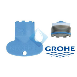Mousseur completo Grohe 13989000
